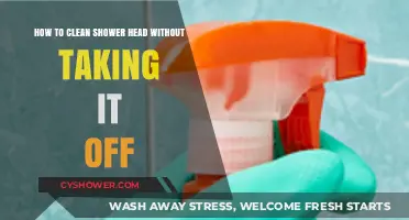 Easy Shower Head Cleaning Tips: No Removal Required!