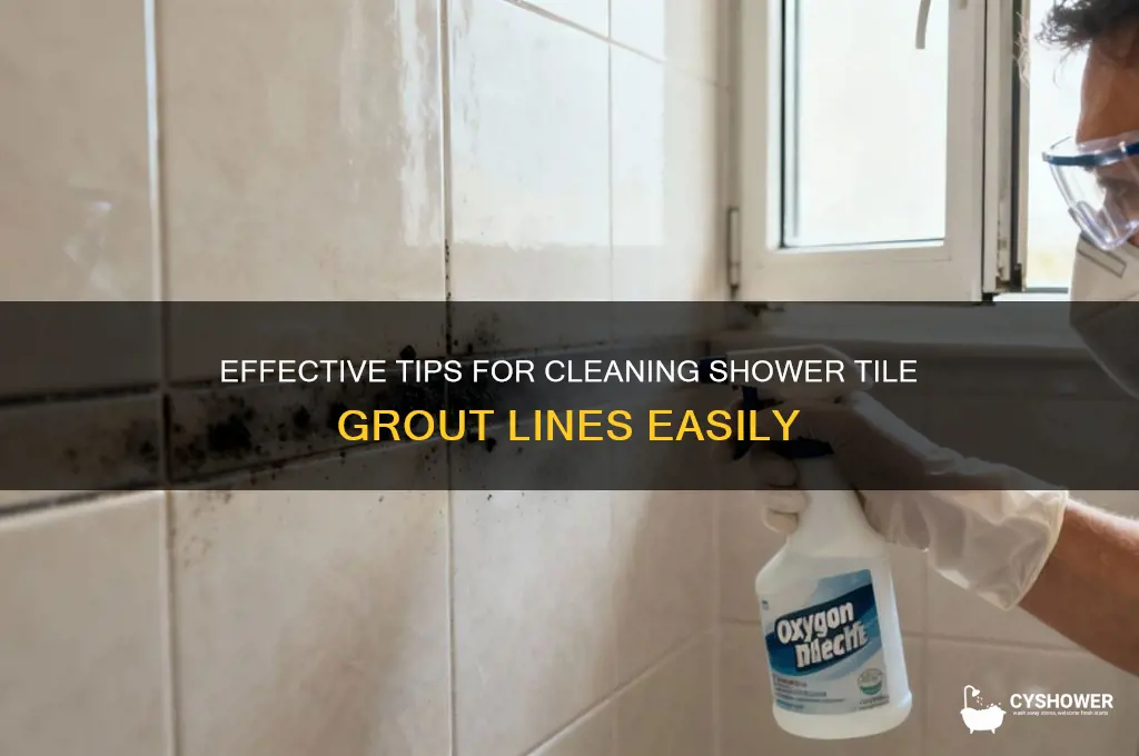 how to clean shower tile grout lines