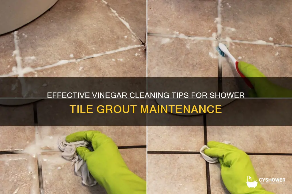 how to clean shower tile grout with vinegar