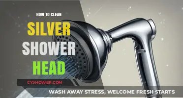 Easy Steps to Clean and Restore Your Silver Shower Head
