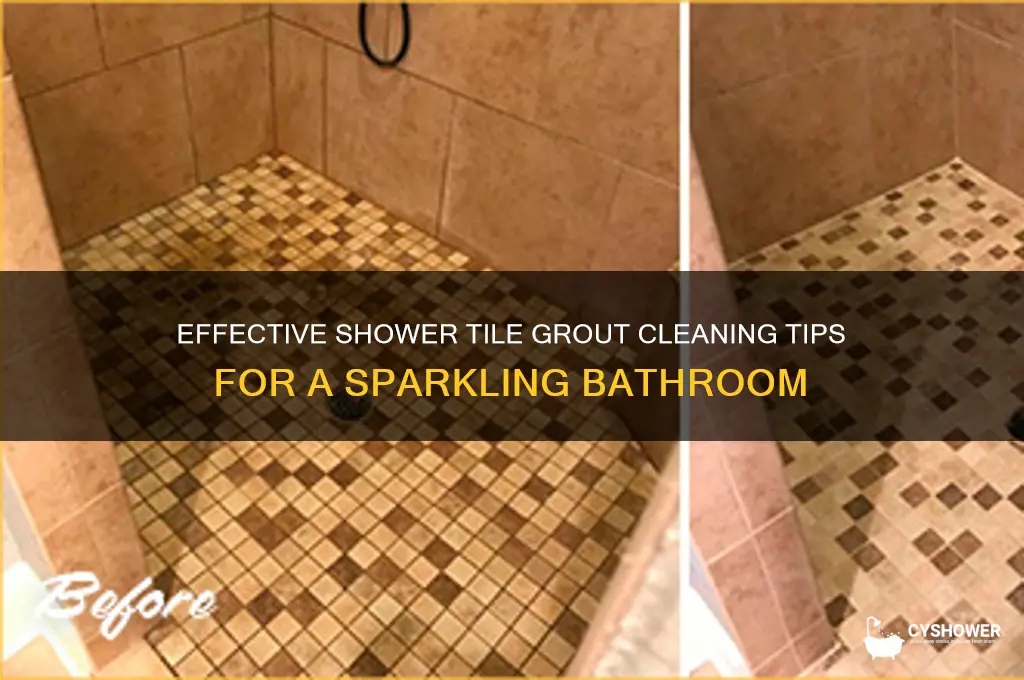 how to clean the grout between shower tiles