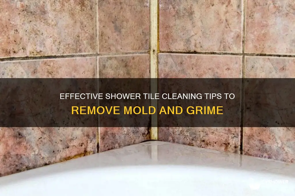 how to clean the tiles in the shower mokd