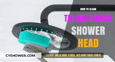 Effective Cleaning Tips for Your Thunderhead Shower Head