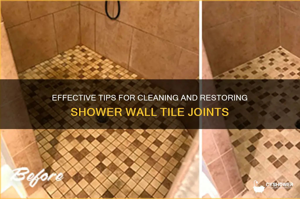 how to clean tile joints on shower walls