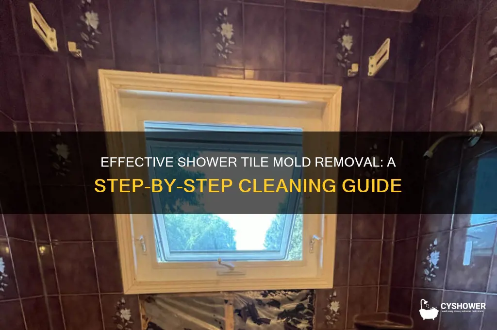 how to clean tile mold shower