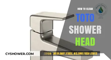 Effortless Toto Shower Head Cleaning: Simple Steps for Sparkling Results