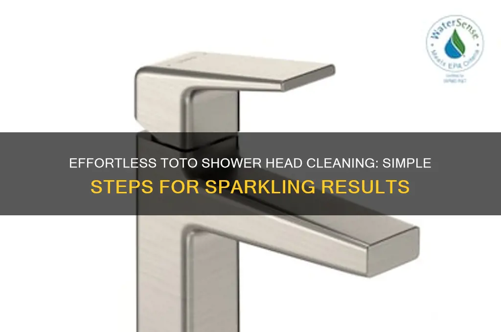 how to clean toto shower head
