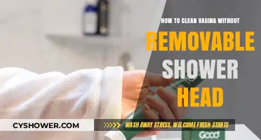 Gentle Vaginal Hygiene: Cleaning Tips Without a Removable Shower Head