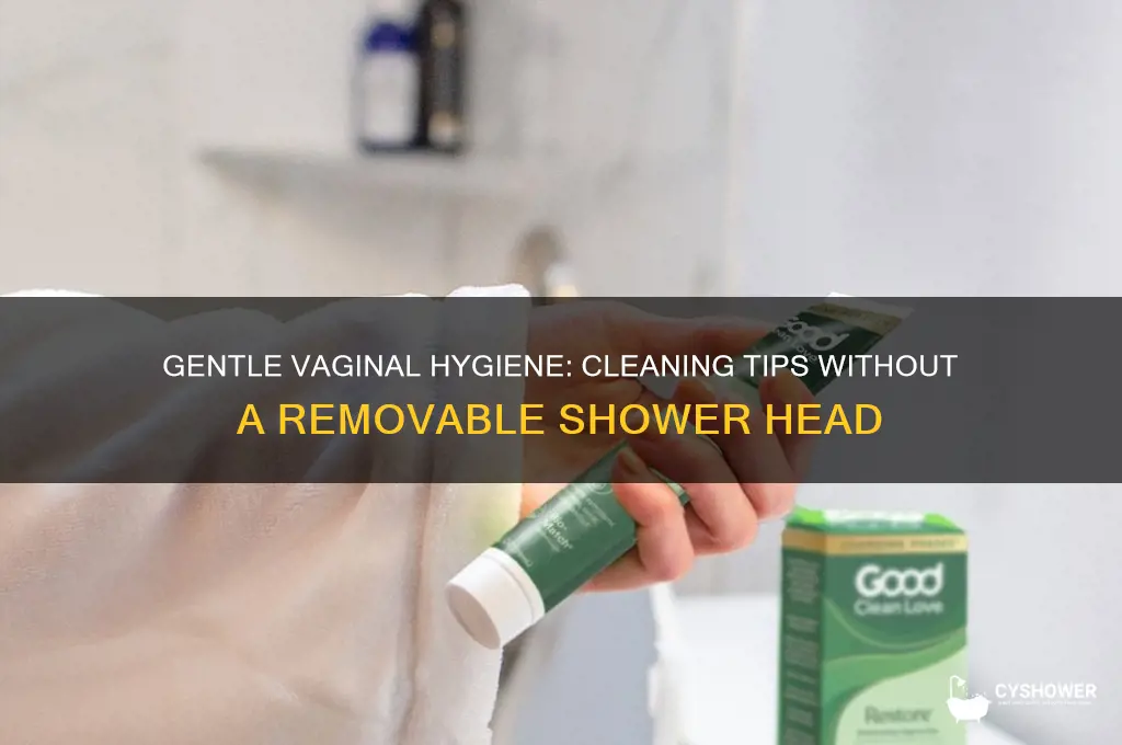 how to clean vagina without removable shower head