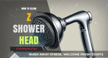 Effortless Guide to Cleaning Your Z Shower Head for Sparkling Results