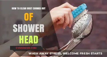Effective DIY Methods to Remove Rust Chunks from Your Shower Head
