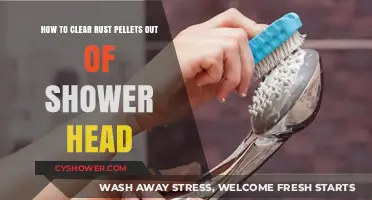 Effective Ways to Remove Rust Pellets from Your Shower Head
