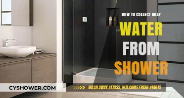 Eco-Friendly Tips: Collecting and Reusing Gray Water from Your Shower
