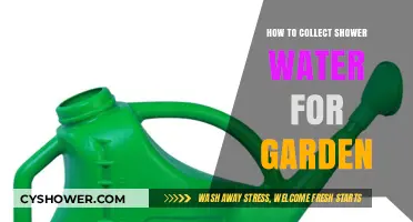 Eco-Friendly Gardening: Collecting Shower Water for Your Plants