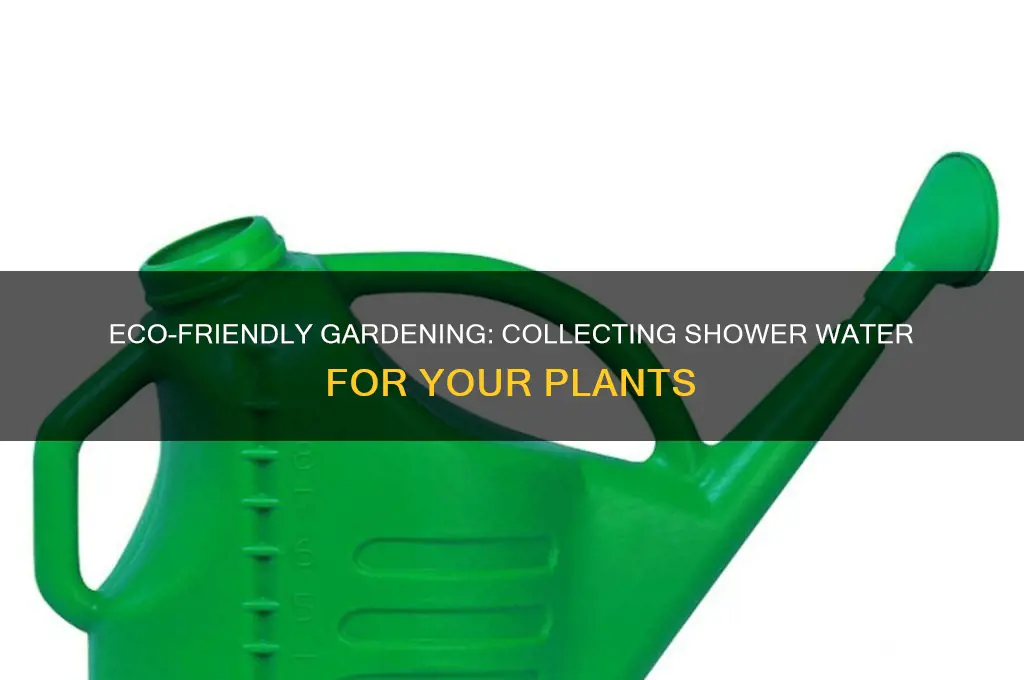 how to collect shower water for garden