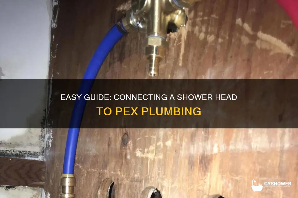 how to connect a shower head to pex