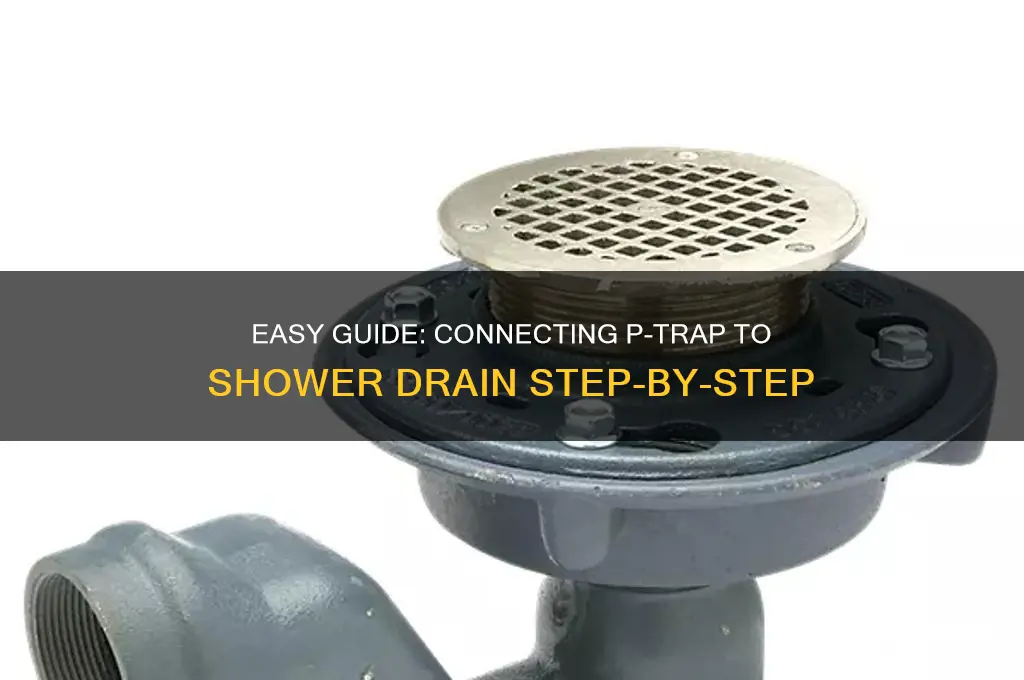 how to connect p trap to shower drain