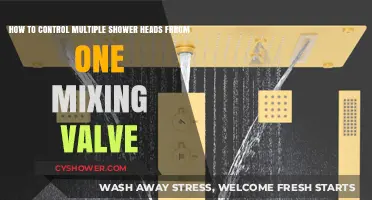Mastering Multi-Head Showers: One Mixing Valve Control Guide