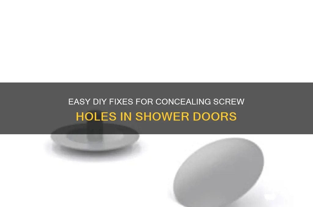 how to cover up screw holes from shower doors