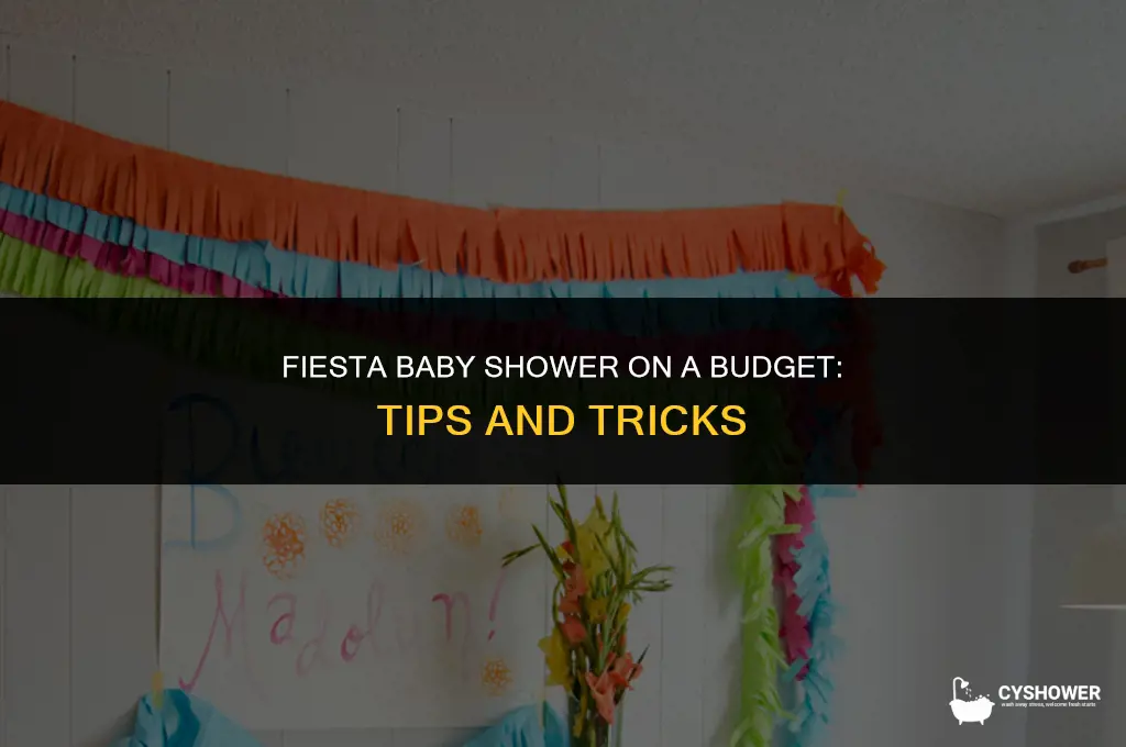 how to create a cheap feista baby shower