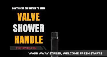 Quick Guide: Shutting Off Water to Stem Valve Shower Handle