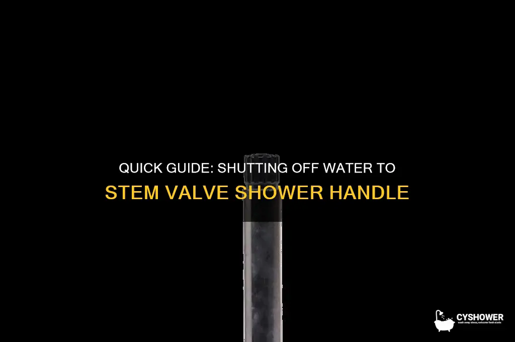 how to cut off water to stem valve shower handle