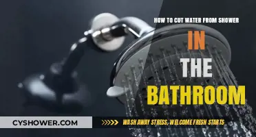 Efficiently Reduce Shower Water Usage: Simple Bathroom Conservation Tips