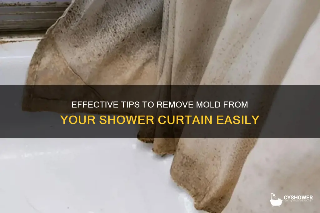 how to de-mold a shower curtain