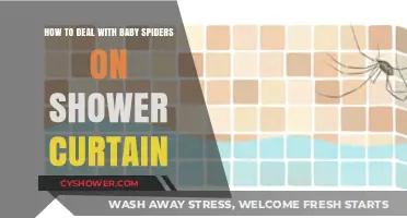Tiny Invaders: Effective Ways to Handle Baby Spiders on Your Shower Curtain