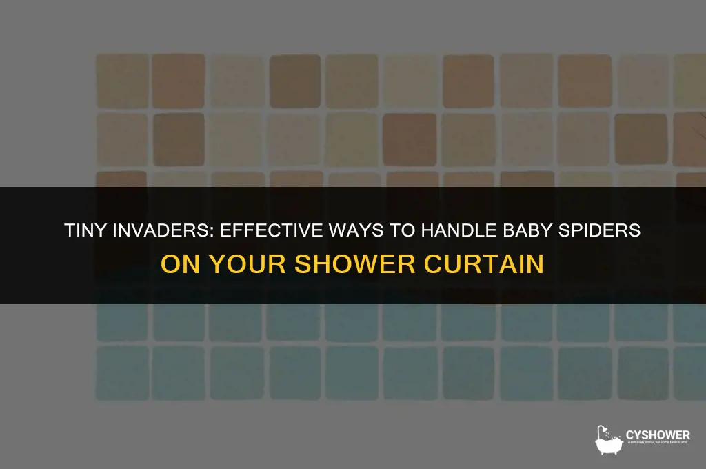 how to deal with baby spiders on shower curtain