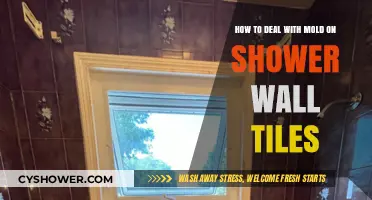 Effective Ways to Remove and Prevent Mold on Shower Tiles