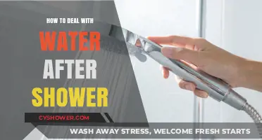 Post-Shower Water Management: Simple Tips for a Dry and Clean Bathroom