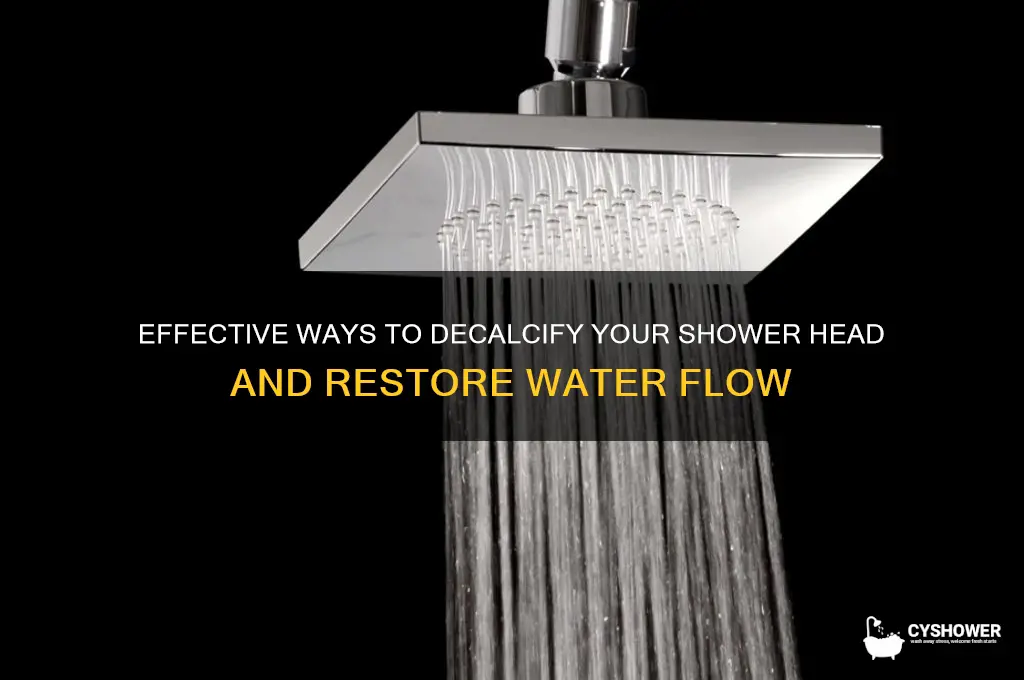 how to decalcify shower head