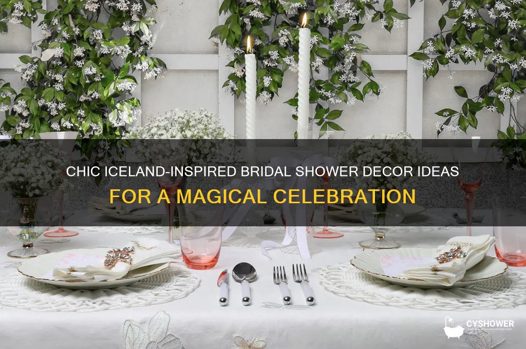 how to decorate for an iceland bridal shower