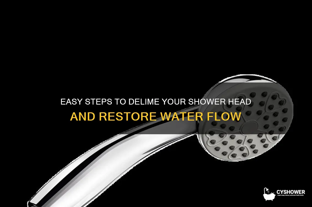 how to delime a shower head
