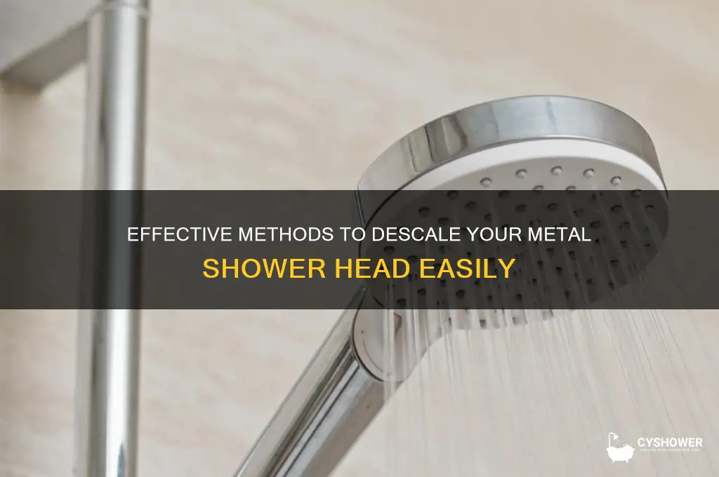 how to descale a metal shower head