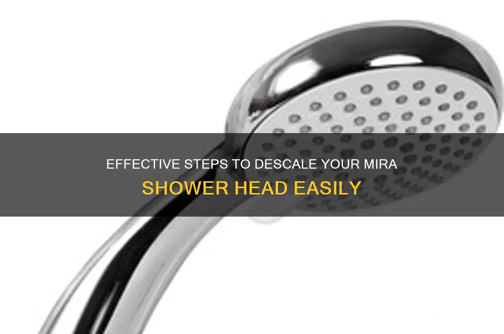 how to descale a mira shower head