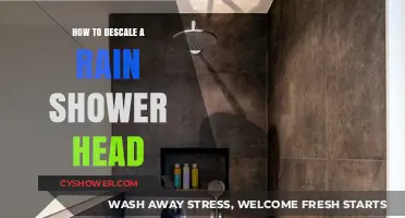 Effective Tips to Descale Your Rain Shower Head Easily