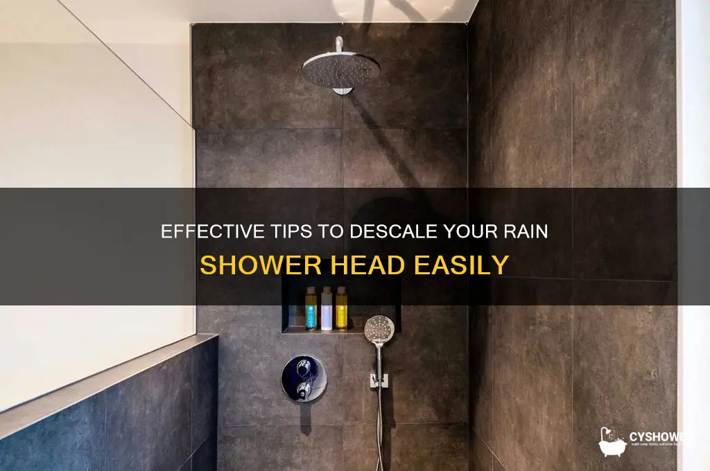 how to descale a rain shower head