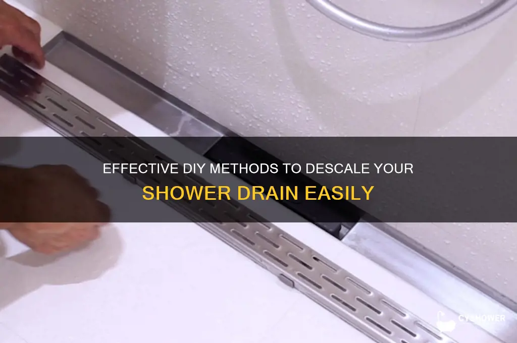 how to descale a shower drain