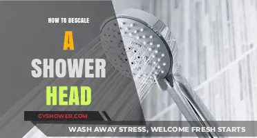 Effective Tips to Descale Your Shower Head and Restore Water Flow