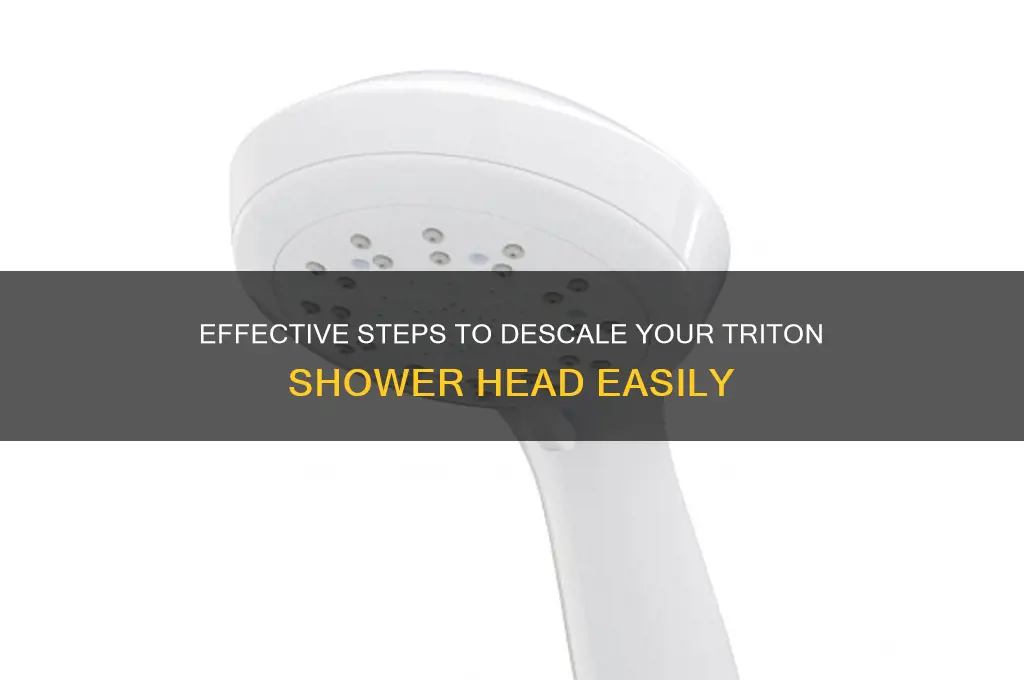 how to descale a triton shower head