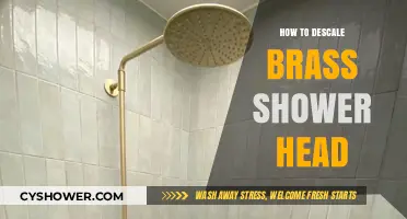 Effective Brass Shower Head Descaling: A Step-by-Step Cleaning Guide