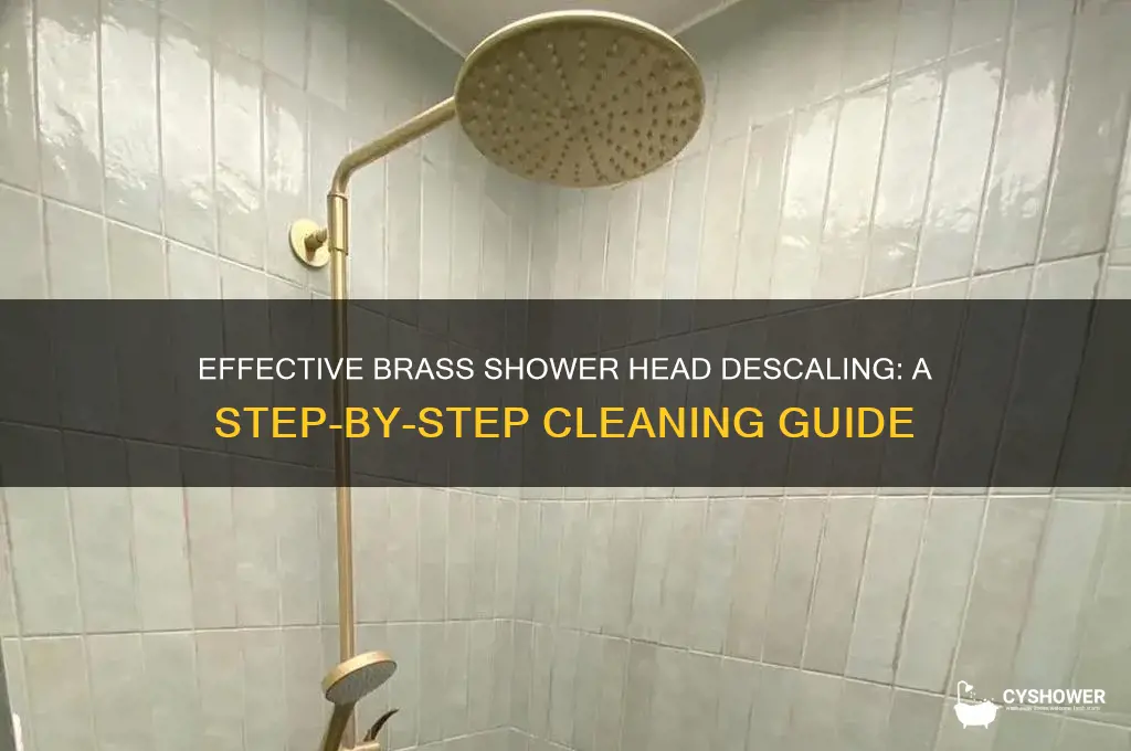 how to descale brass shower head