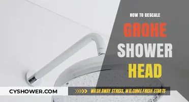 Effective Tips to Descale Your Grohe Shower Head Easily