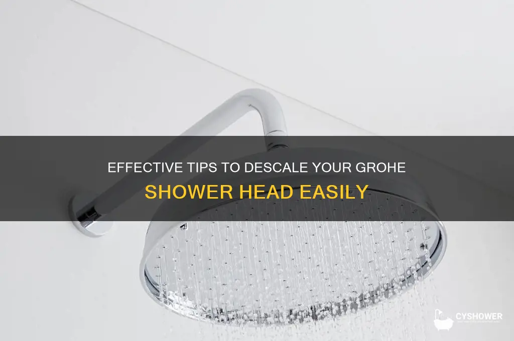 how to descale grohe shower head
