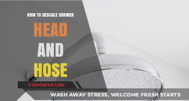 Effective Tips to Descale Your Shower Head and Hose Easily
