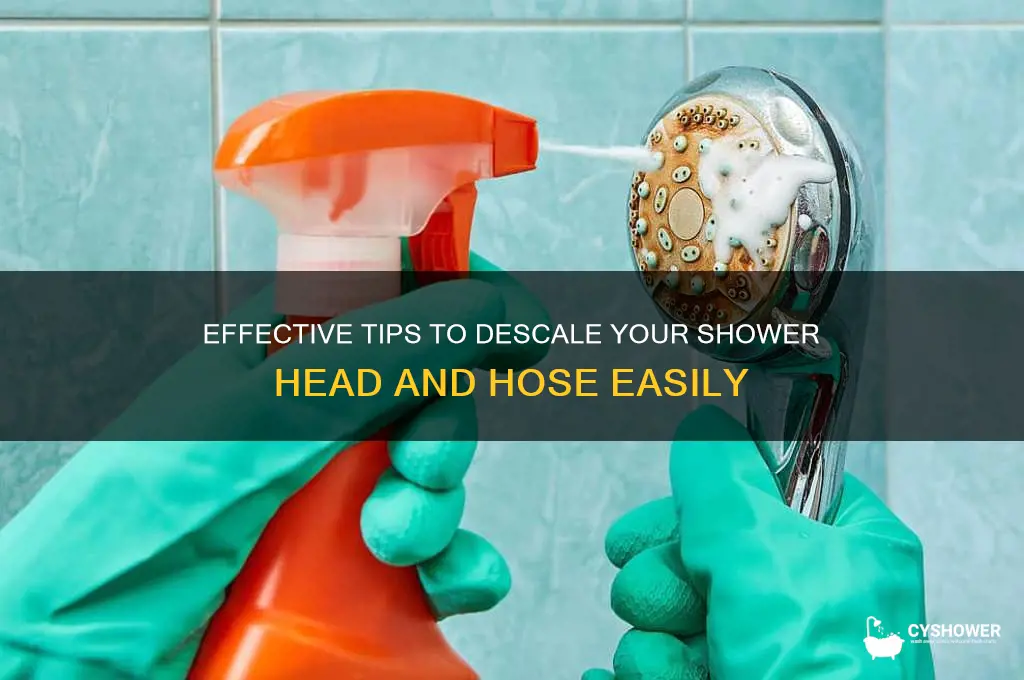 how to descale shower head and hose