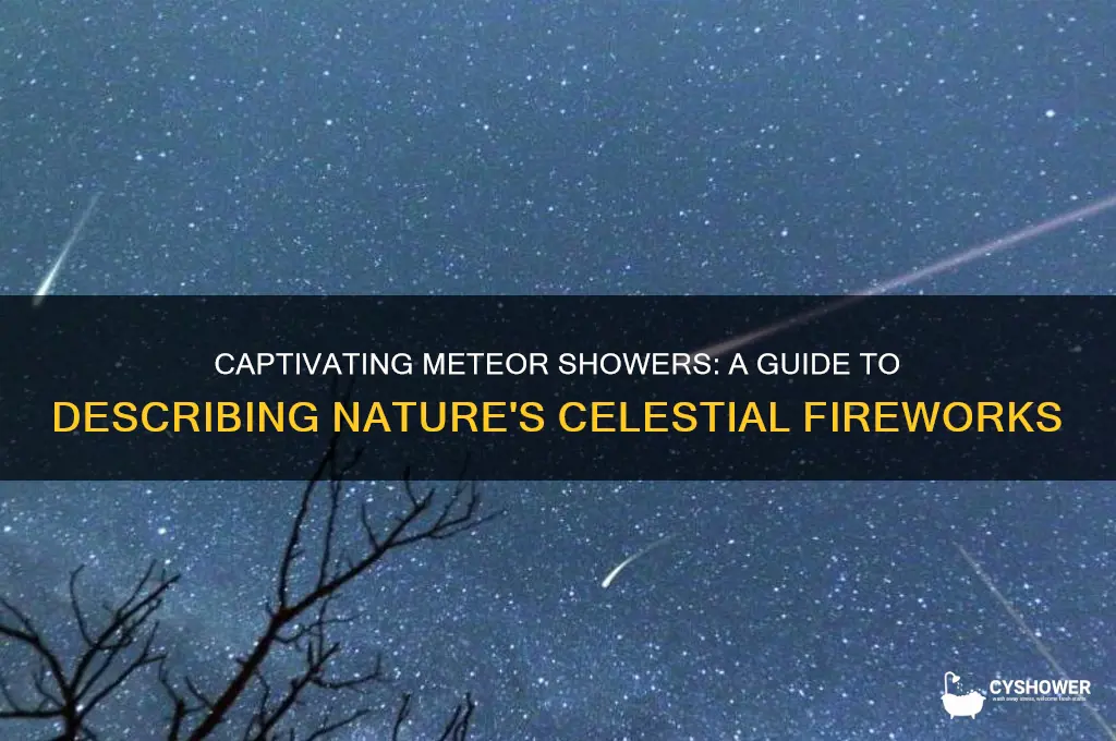 how to describe a meteor shower