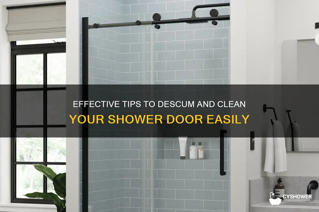 how to descum shower door